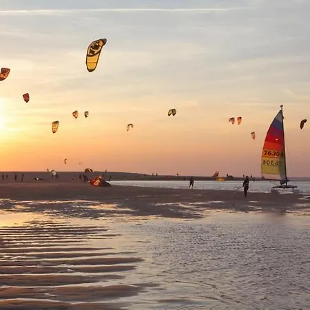 Famele Wave アルデイア・ド・メコ