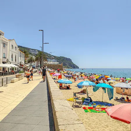 Famele Wave アルデイア・ド・メコ